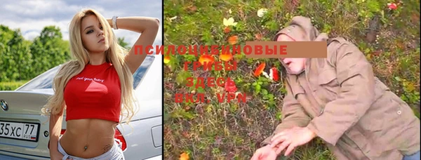 молекула духа Алексеевка