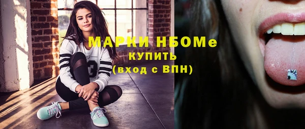 молекула духа Алексеевка