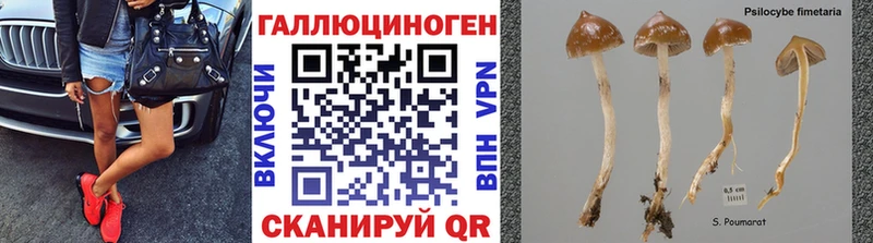 Псилоцибиновые грибы Magic Shrooms  Строитель 