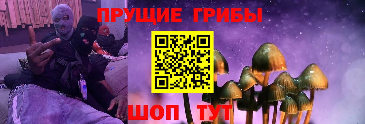 Строитель  купить   Вход с VPN  Галлюциногенные грибы мицелий 