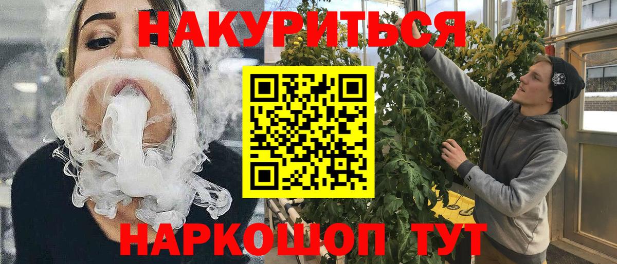 Конопля AK-47  Вход с VPN  Строитель  Каннабис SATIVA & INDICA  Каннабис семена 